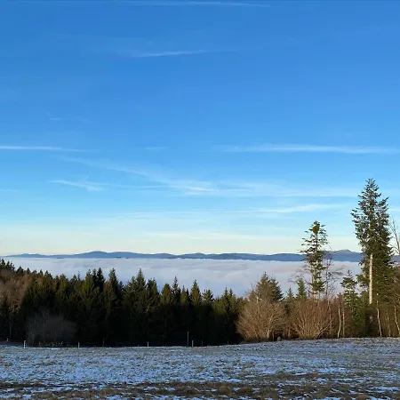 Mitten Im Bayerischen Wald-95m² + *netflix* Direkt Am Skilift! Schöfweg