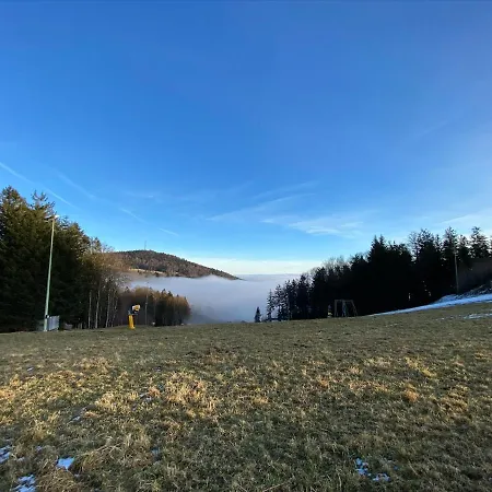 Mitten Im Bayerischen Wald-95m² + *netflix* Direkt Am Skilift! Apartment