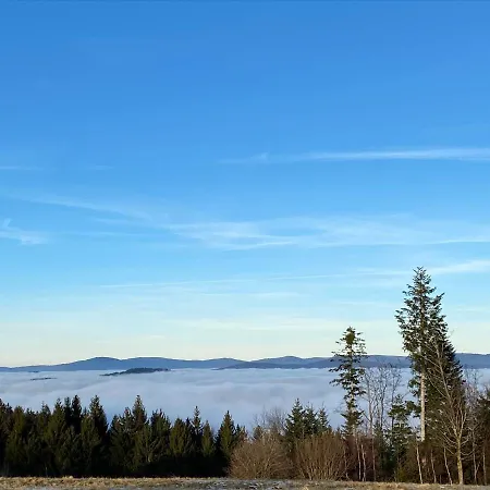 Mitten Im Bayerischen Wald-95m² + *netflix* Direkt Am Skilift! Apartment *