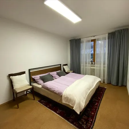 Apartamento Mitten Im Bayerischen Wald-95m² + *netflix* Direkt Am Skilift! Schöfweg